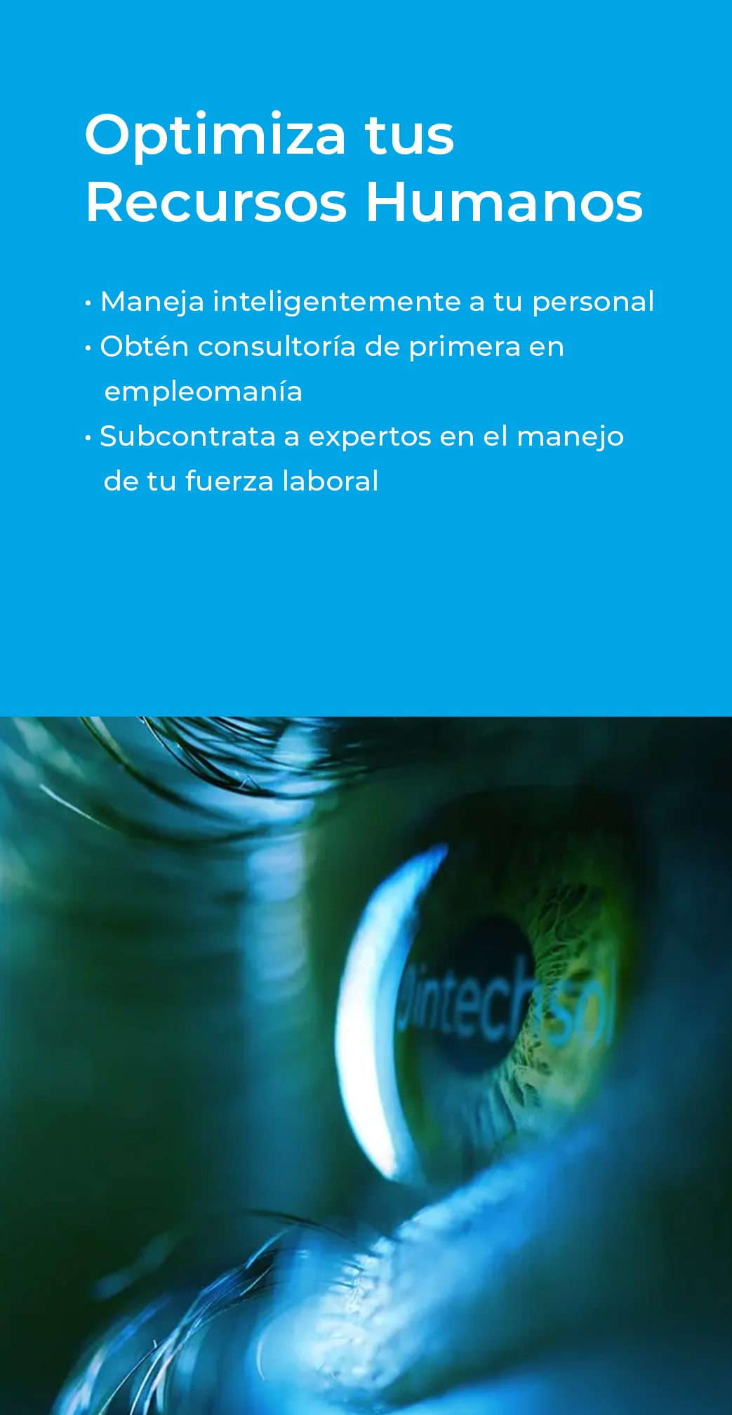 Optimiza tus Recursos Humanos